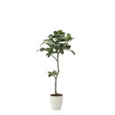 ベンガル菩提樹1.35 2031K255 W65×D60×H135cm【2024年版 人工観葉植物 光の楽園 造花 フェイク リビング 玄関 アートフラワー イ...