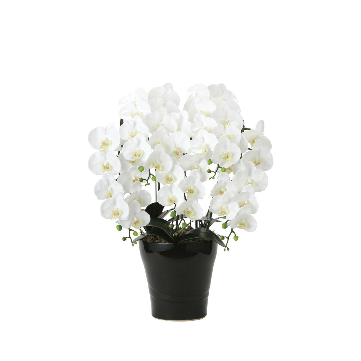 フレッシュ胡蝶蘭5本立W 2044A200 W53×D45×H72cm【2024年版 人工観葉植物 光の楽園 造花 フェイク リビング 玄関 アートフラワー インテリアグリーン】