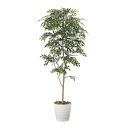 トネリコ1.8 2094A350 W75×D75×H180cm【2024年版 人工観葉植物 光の楽園 造花 フェイク リビング 玄関 アートフラワー インテリア...