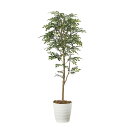 トネリコ1.6 2107A300 W65×D60×H160cm【2024年版 人工観葉植物 光の楽園 造花 フェイク リビング 玄関 アートフラワー インテリア...