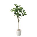 フィカスウンベラータ1.7 2117A430 W80×D65×H170cm【2024年版 人工観葉植物 光の楽園 造花 フェイク リビング 玄関 アートフラワー...