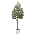 オリーブ3.2(組立式) 2124A3500 W150×D150×H320cm【2024年版 人工観葉植物 光の楽園 造花 フェイク リビング 玄関 アートフラ...