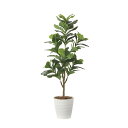 フレッシュカシワバゴム1.8 2211A300 W60×D65×H180cm【2024年版 人工観葉植物 光の楽園 造花 フェイク リビング 玄関 アートフラワー インテリアグリーン】