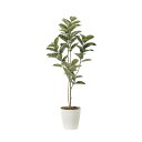 アルテシマ1.6 2219A280 W65×D58×H160cm【2024年版 人工観葉植物 光の楽園 造花 フェイク リビング 玄関 アートフラワー インテリアグリーン】