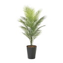 パームツリー1.3(ポリ製) 2238A200 W65×D60×H130cm【2024年版 人工観葉植物 光の楽園 造花 フェイク リビング 玄関 アートフラワ...