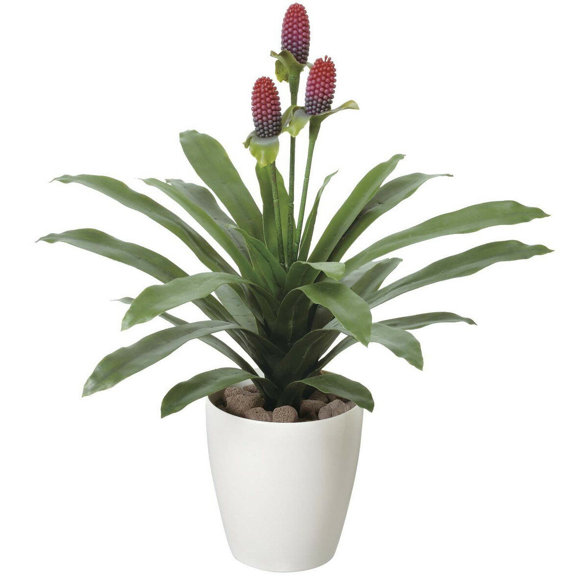 マガベ花付(ポリ製) 223A80 W50×D50×H67cm【2024年版 人工観葉植物 光の楽園 造花 フェイク リビング 玄関 アートフラワー インテリアグリーン】