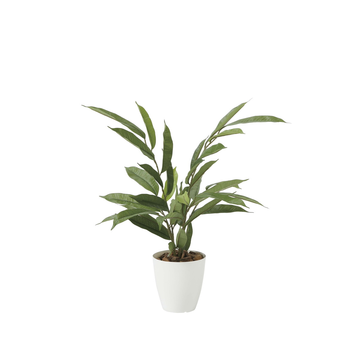 アムステルラバーキング55 2256A80 W50×D50×H55cm【2024年版 人工観葉植物 光の楽園 造花 フェイク リ..
