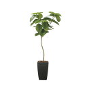 フレッシュアーバンウンベラータ1.8 2257K720 W80×D80×H180cm【2024年版 人工観葉植物 光の楽園 造花 フェイク リビング 玄関 アー...