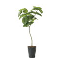 フレッシュデザインウンベラータ1.8 2258K400 W80×D80×H180cm【2024年版 人工観葉植物 光の楽園 造花 フェイク リビング 玄関 アー...