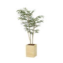 ウッドボックスショウナンゴム1.8 2300A580 W100×D75×H180cm【2024年版 人工観葉植物 光の楽園 造花 フェイク リビング 玄関 アー...