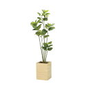 ウッドボックスウンベラータ1.8 2302A600 W70×D55×H180cm【2024年版 人工観葉植物 光の楽園 造花 フェイク リビング 玄関 アートフ...
