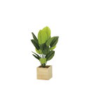 ウッドボックススキンダプサス85 2307A210 W50×D45×H85cm【2024年版 人工観葉植物 光の楽園 造花 フェイク リビング 玄関 アートフラワー インテリアグリーン】