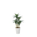 幸福の木1.3 2316A260 W60×D60×H130cm【2024年版 人工観葉植物 光の楽園 造花 フェイク リビング 玄関 アートフラワー インテリア...