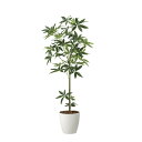フレッシュパキラ1.7 2322A380 W70×D65×H170cm【2024年版 人工観葉植物 光の楽園 造花 フェイク リビング 玄関 アートフラワー イ...