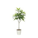 フレッシュユラニア1.6 2325A400 W80×D80×H160cm【2024年版 人工観葉植物 光の楽園 造花 フェイク リビング 玄関 アートフラワー ...