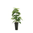 フレッシュDXスリムウンベラータ1.2 2326A300 W50×D50×H120cm【2024年版 人工観葉植物 光の楽園 造花 フェイク リビング 玄関 ア...