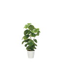 フレッシュDXウンベラータ1.3 2327A480 W73×D60×H130cm【2024年版 人工観葉植物 光の楽園 造花 フェイク リビング 玄関 アートフ...