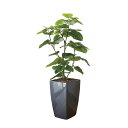 フレッシュDXウンベラータ1.6 2328M830 W73×D60×H160cm【2024年版 人工観葉植物 光の楽園 造花 フェイク リビング 玄関 アートフ...