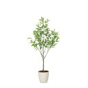 フレッシュ細葉ユーカリ1.7 2329A500 W70×D70×H170cm【2024年版 人工観葉植物 光の楽園 造花 フェイク リビング 玄関 アートフラワ...