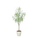フレッシュシルバーユーカリ1.7 2330A500 W70×D70×H170cm【2024年版 人工観葉植物 光の楽園 造花 フェイク リビング 玄関 アートフ...