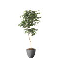 ナチュラルベンジャミン1.6 2401A500 W70×D65×H160cm【2024年版 人工観葉植物 光の楽園 造花 フェイク リビング 玄関 アートフラワ...