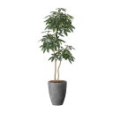 ナチュラルパキラ1.8 2404A575 W60×D50×H180cm【2024年版 人工観葉植物 光の楽園 造花 フェイク リビング 玄関 アートフラワー イ...