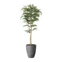 ナチュラルトネリコ1.8 2407A720 W70×D70×H180cm【2024年版 人工観葉植物 光の楽園 造花 フェイク リビング 玄関 アートフラワー ...