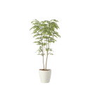 ライトトネリコ1.8 2413A450 W90×D60×H180cm【2024年版 人工観葉植物 光の楽園 造花 フェイク リビング 玄関 アートフラワー イン...