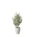 ナチュラルユーカリツリー1.5 2422A600 W80×D65×H150cm【2024年版 人工観葉植物 光の楽園 造花 フェイク リビング 玄関 アートフラ...