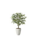 ナチュラルフィカスツリー1.5 2424A590 W90×D80×H150cm【2024年版 人工観葉植物 光の楽園 造花 フェイク リビング 玄関 アートフラ...