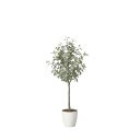 ユーカリツリー1.65 2425A320 W60×D55×H165cm【2024年版 人工観葉植物 光の楽園 造花 フェイク リビング 玄関 アートフラワー イ...