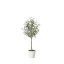 ユーカリツリー1.65 2425A320 W60×D55×H165cm【2024年版 人工観葉植物 光の楽園 造花 フェイク リビング 玄関 アートフラワー インテリアグリーン】