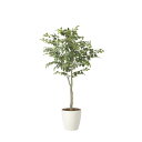 フィカスツリー1.85(組立式) 2438A430 W90×D80×H185cm【2024年版 人工観葉植物 光の楽園 造花 フェイク リビング 玄関 アートフ...