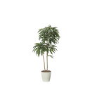 アムステルラバーキング1.6 2439A430 W70×D65×H160cm【2024年版 人工観葉植物 光の楽園 造花 フェイク リビング 玄関 アートフラワ...