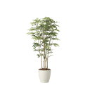 ツートントネリコ1.8 2443A650 W80×D80×H180cm【2024年版 人工観葉植物 光の楽園 造花 フェイク リビング 玄関 アートフラワー イ...
