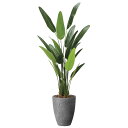 ナチュラルトラベラーズパーム1.6 2486A540 W70×D55×H160cm【2024年版 人工観葉植物 光の楽園 造花 フェイク リビング 玄関 アート...