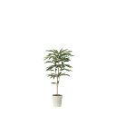 アムステルダムキング1.3 2488A240 W65×D65×H130cm【2024年版 人工観葉植物 光の楽園 造花 フェイク リビング 玄関 アートフラワー インテリアグリーン】