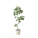 ツイストウンベラータ1.9(組立式) 2494A500 W70×D65×H190cm【2024年版 人工観葉植物 光の楽園 造花 フェイク リビング 玄関 アー...