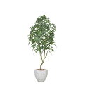 ナチュラルパキラ2.5(組立式) 2496A1600 W100×D100×H250cm【2024年版 人工観葉植物 光の楽園 造花 フェイク リビング 玄関 ア...