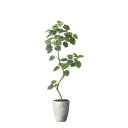 ナチュラルウンベラータ1.9(組立式) 2499A740 W70×D65×H190cm【2024年版 人工観葉植物 光の楽園 造花 フェイク リビング 玄関 ア...