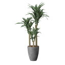 ナチュラル幸福の木1.65 2502A630 W65×D65×H165cm【2024年版 人工観葉植物 光の楽園 造花 フェイク リビング 玄関 アートフラワー インテリアグリーン】