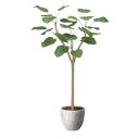 ナチュラルウンベラータ1.5 2503A400 W60×D50×H150cm【2024年版 人工観葉植物 光の楽園 造花 フェイク リビング 玄関 アートフラワ...