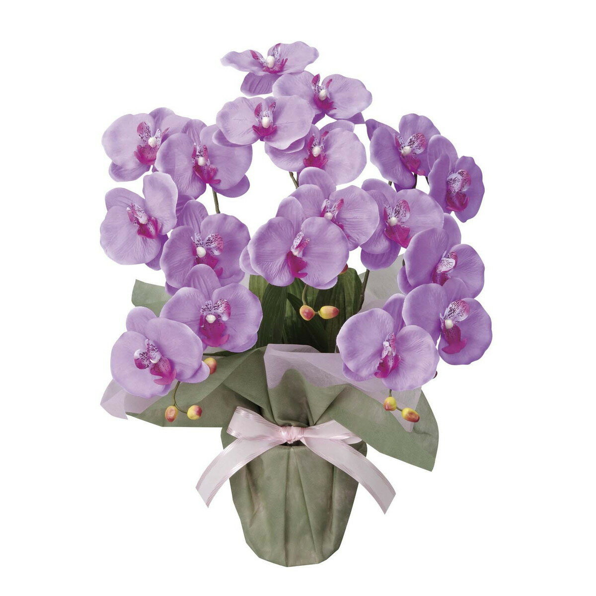 ߥǥĳL 26K40 W32D35H50cm2024ǯ ͹տʪ γڱ ¤ ե ӥ  ȥե...