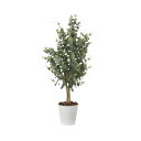 ユーカリ1.25 370K200 W50×D45×H125cm【2024年版 人工観葉植物 光の楽園 造花 フェイク リビング 玄関 アートフラワー インテリア...
