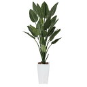 ストレチアW1.6 409K580 W70×D70×H160cm【2024年版 人工観葉植物 光の楽園 造花 フェイク リビング 玄関 アートフラワー インテリ...