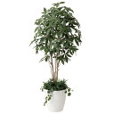 パキラ1.8 植栽付 412F500 W75×D75×H180cm【2024年版 人工観葉植物 光の楽園 造花 フェイク リビング 玄関 アートフラワー インテ...