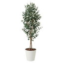 ユーカリ1.6 417A280 W60×D45×H160cm【2024年版 人工観葉植物 光の楽園 造花 フェイク リビング 玄関 アートフラワー インテリアグリーン】