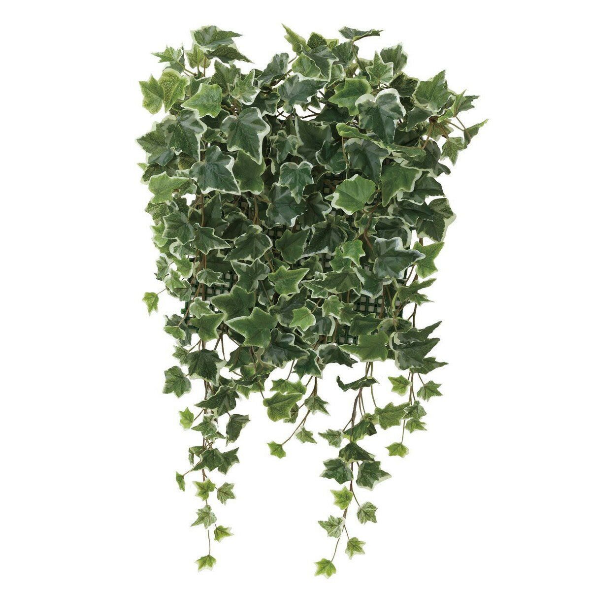 壁面緑化斑入りアイビー 441C70 W50×D20×H65cm【2024年版 人工観葉植物 光の楽園 造花 フェイク リビング 玄関 アートフラワー インテリアグリーン】