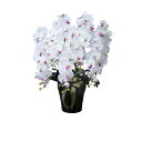 ロイヤル胡蝶蘭5本立W/AB 447A300 W60×D50×H76cm【2024年版 人工観葉植物 光の楽園 造花 フェイク リビング 玄関 アートフラワー ...