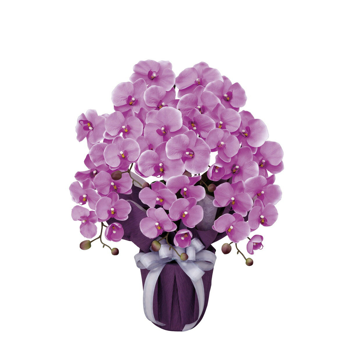 쥬ȸĳ5ΩL 453A80 W50D35H64cm2024ǯ ͹տʪ γڱ ¤ ե ӥ  ...